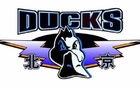 京隊(duì)季后賽命中率超五成，三分效率高，搶前場(chǎng)籃板20+。