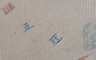 中超11輪，冠軍之爭顯露，海港無需多慮。