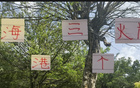 武磊、古斯塔沃、萊昂納多，海港隊誰進球多？