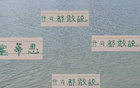 北京國安教練摔瓶，訓(xùn)練環(huán)境差，張玉寧情況曝光。