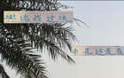 反常必妖，申花勝后申訴，老謀深算。