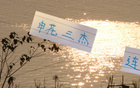 申花三杰連發(fā)，俄帥壓力倍增！