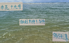 申花19號(hào)破防，馬萊萊、米神難及。