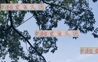 夏窗收官，四隊(duì)顯高級(jí)風(fēng)范。