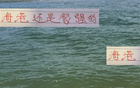 挑刺雖挑刺，海港預(yù)算有限仍居榜二，實(shí)力非凡。