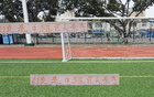 河南教練助隊成巨人殺手，淘汰申花，勝蓉城。
