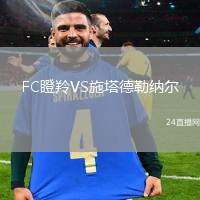 FC瞪羚VS施塔德勒納爾