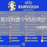 斯特利費寧VS列弗寧