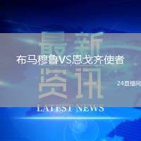 布馬穆魯VS恩戈齊使者