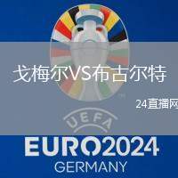 戈梅爾VS布古爾特