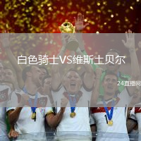 白色騎士VS維斯土貝爾