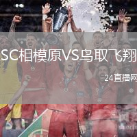 SC相模原VS鳥取飛翔