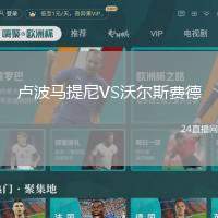 盧波馬提尼VS沃爾斯費(fèi)德