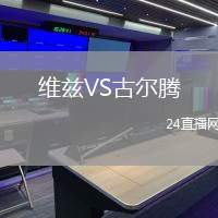 維茲VS古爾騰
