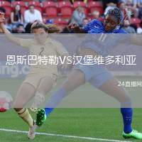 恩斯巴特勒VS漢堡維多利亞