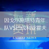 因戈?duì)柺┧厍嗄觋?duì)VS巴伐利亞霍夫