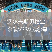 沃爾夫斯貝格業(yè)余隊(duì)VSSV威爾登