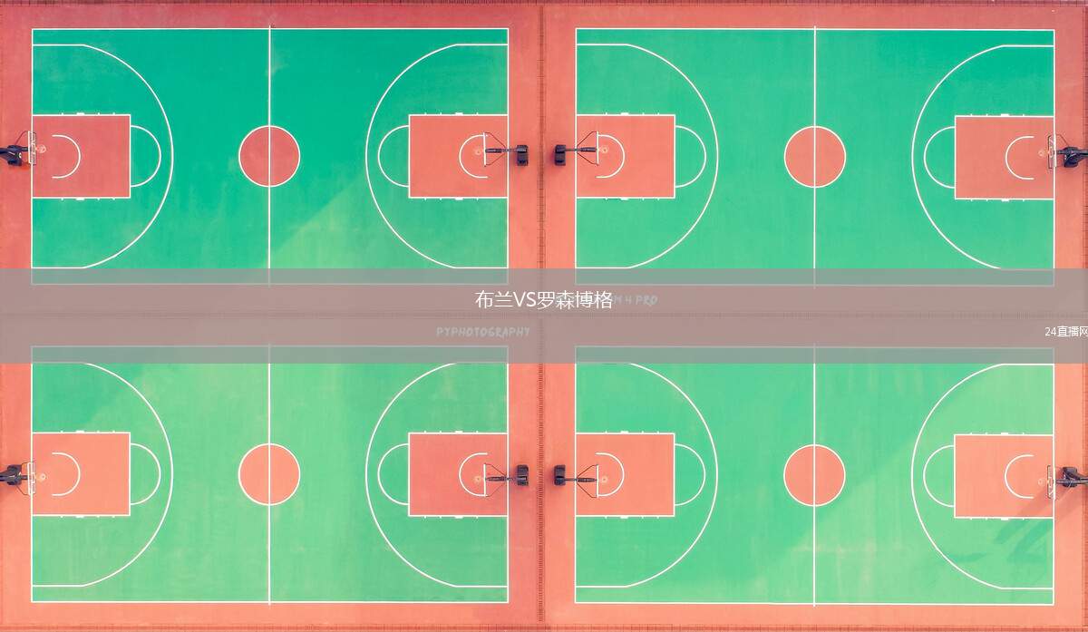 布蘭VS羅森博格