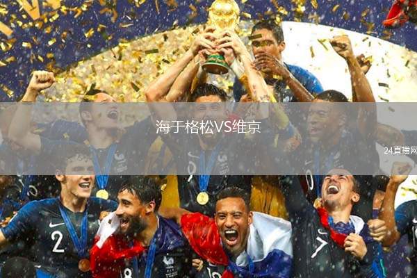 海于格松VS維京