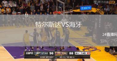 特爾斯達VS海牙