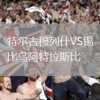 特爾古穆列什VS錫比烏阿特拉斯比
