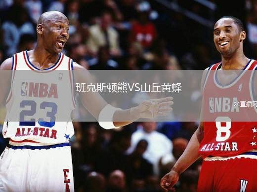 班克斯頓熊VS山丘黃蜂