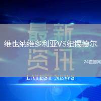 維也納維多利亞VS紐錫德爾