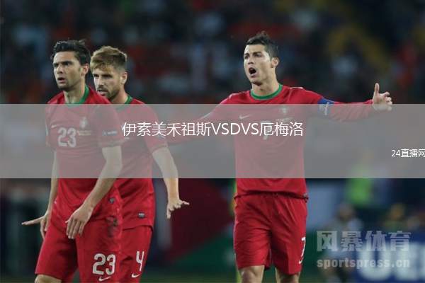 伊素美禾祖斯VSDVS厄梅洛