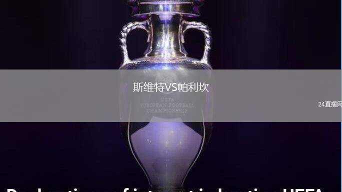 斯維特VS帕利坎