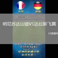明尼蘇達(dá)山貓VS達(dá)拉斯飛翼