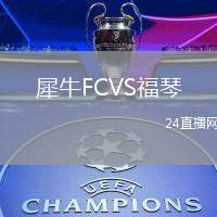 犀牛FCVS福琴