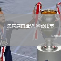 史賓威白鷹VS華勒比市