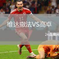 維達(dá)撒法VS高卓