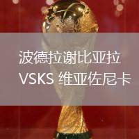 波德拉謝比亞拉VSKS 維亞佐尼卡