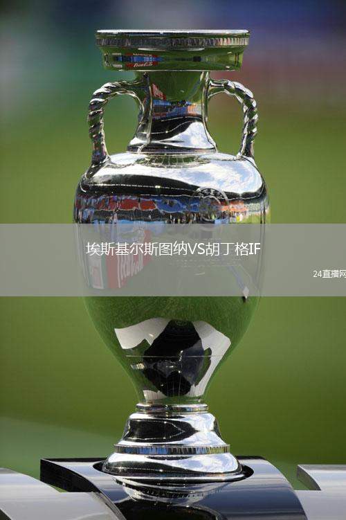 埃斯基爾斯圖納VS胡丁格IF
