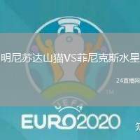 明尼蘇達山貓VS菲尼克斯水星