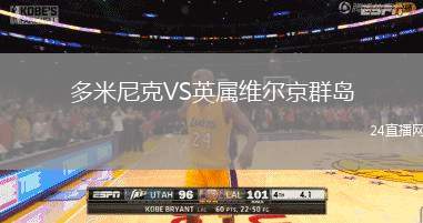 多米尼克VS英屬維爾京群島