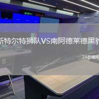 斯特爾特獅隊(duì)VS南阿德萊德黑豹