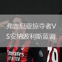 弗吉尼亞掠奪者VS安納波利斯藍(lán)調(diào)
