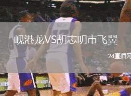 峴港龍VS胡志明市飛翼