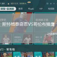 斯特格泰奇恩VS哥倫布獵鷹