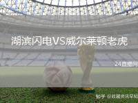 湖濱閃電VS威爾萊頓老虎