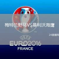 梅特蘭野馬VS曼利沃海鷹