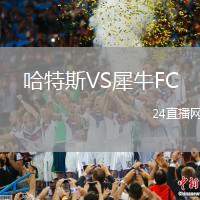 哈特斯VS犀牛FC