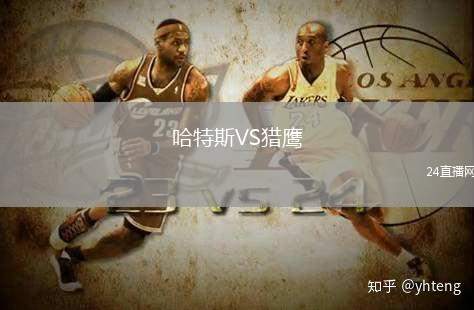 哈特斯VS獵鷹