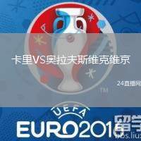 卡里VS奧拉夫斯維克維京