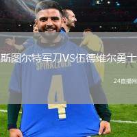 斯圖爾特軍刀VS伍德維爾勇士
