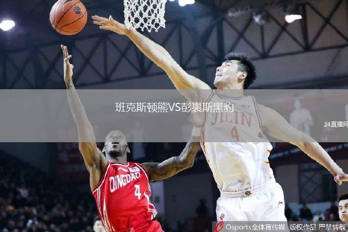 班克斯頓熊VS彭裏斯黑豹