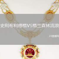 史利布利德格VS格蘭森林流浪