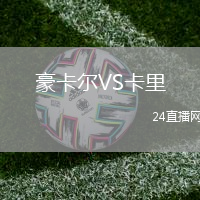 豪卡爾VS卡里